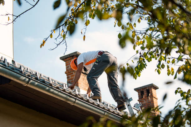 Best Roof Waterproofing Services  in Mineral Ridge, OH